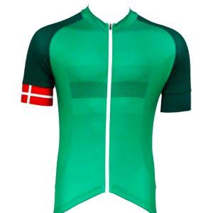 Cykeltrøje Danmark, kort arm, grøn Kobenhavn